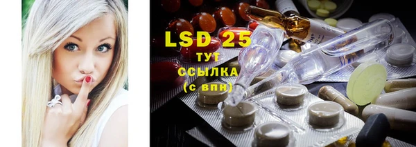 PSILOCYBIN Верея