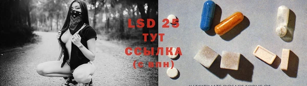 PSILOCYBIN Верея
