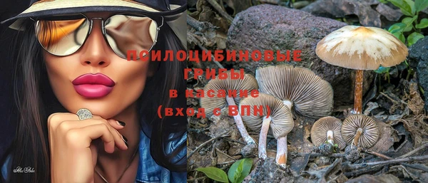 PSILOCYBIN Верея
