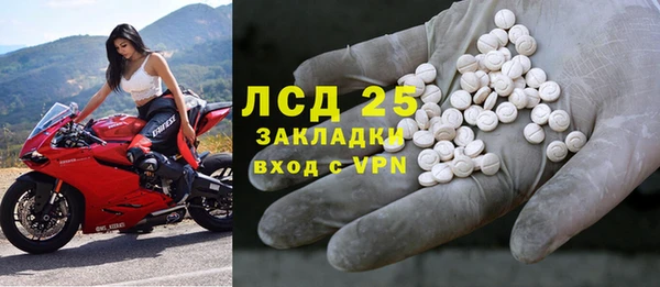 PSILOCYBIN Верея